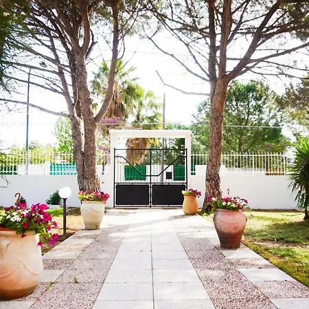 Aurelia - Seafront With Terrace