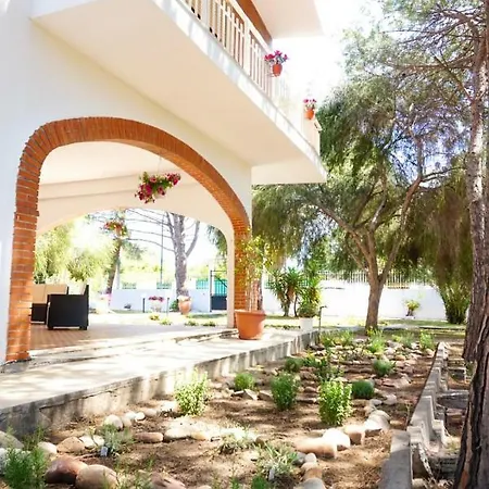 Apartment Aurelia - Seafront With Terrace