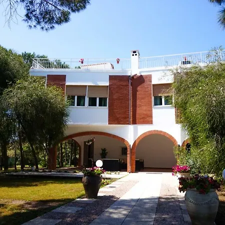 Apartment Aurelia - Seafront With Terrace *