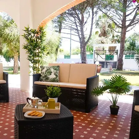 Aurelia - Seafront With Terrace Apartment *